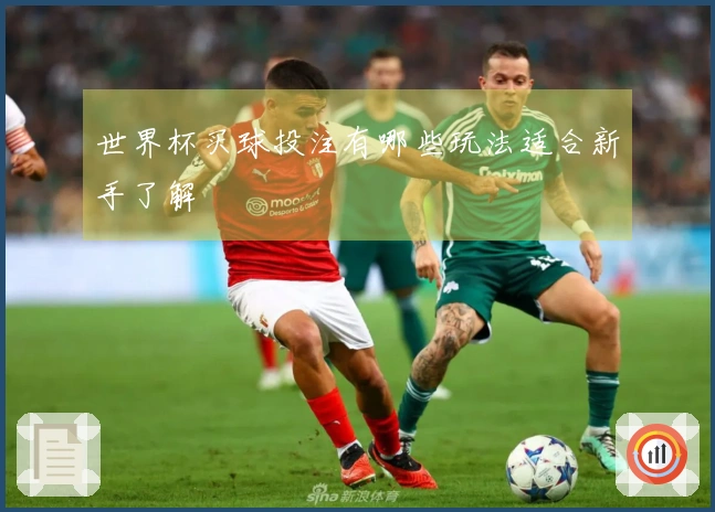 世界杯买球投注有哪些玩法适合新手了解