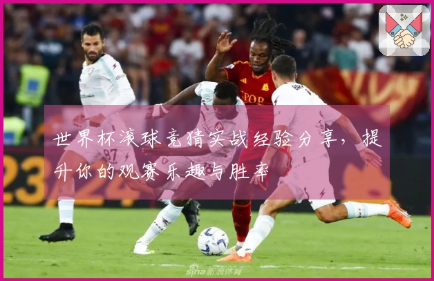 世界杯滚球竞猜实战经验分享，提升你的观赛乐趣与胜率