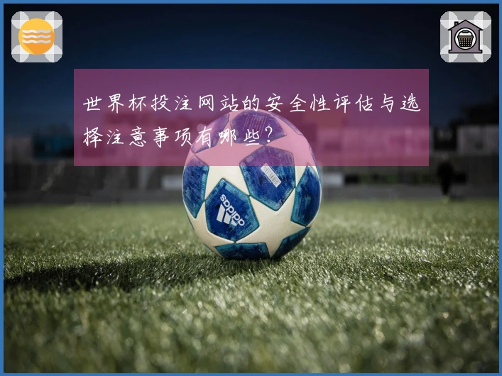 世界杯投注网站的安全性评估与选择注意事项有哪些？