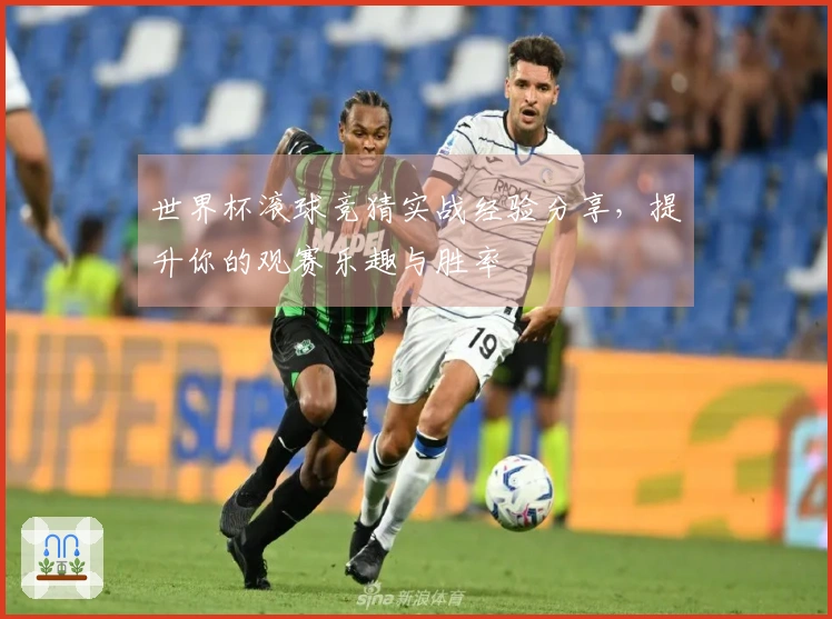 世界杯滚球竞猜实战经验分享，提升你的观赛乐趣与胜率