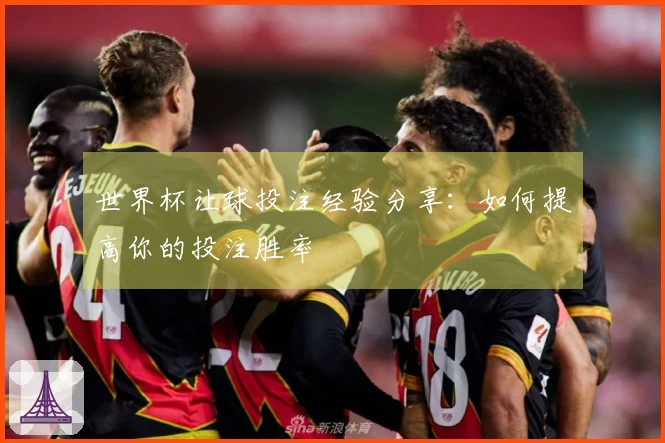 世界杯让球投注经验分享：如何提高你的投注胜率