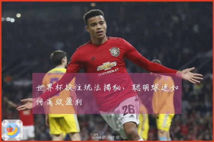世界杯投注玩法揭秘，聪明球迷如何高效盈利