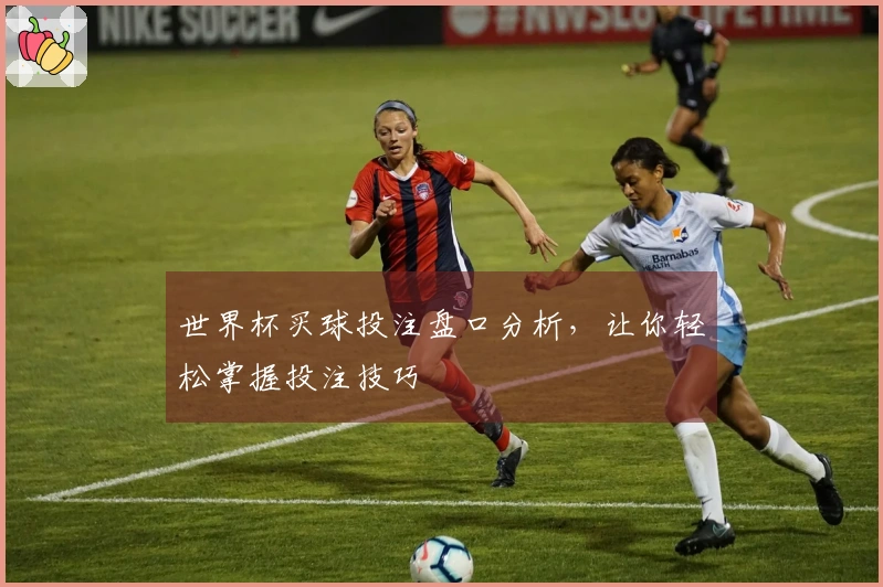 世界杯买球投注盘口分析，让你轻松掌握投注技巧