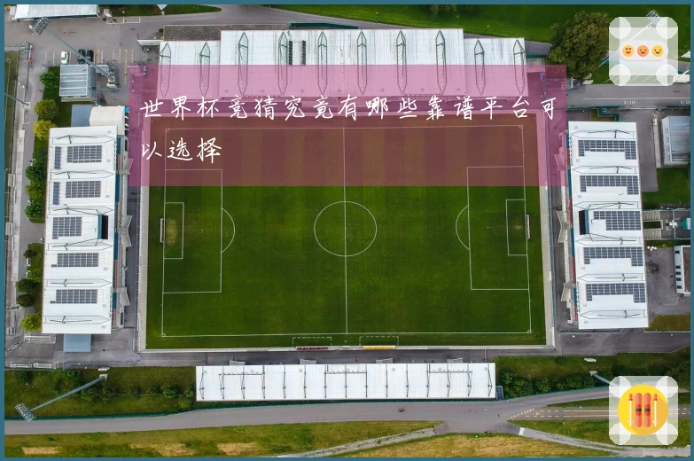 世界杯竞猜究竟有哪些靠谱平台可以选择