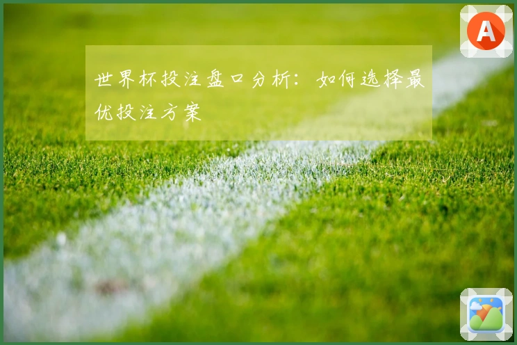 世界杯投注盘口分析：如何选择最优投注方案