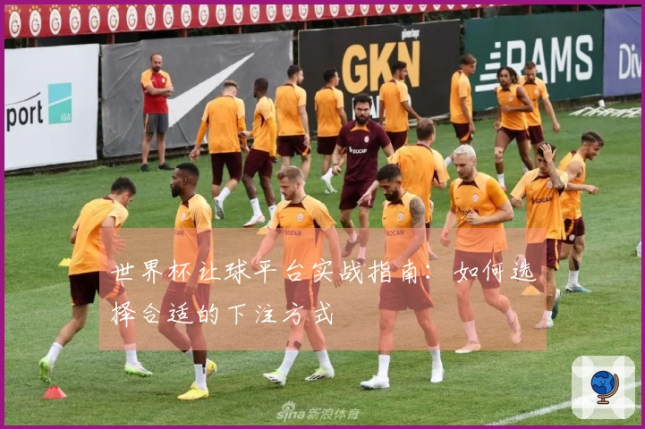 世界杯让球平台实战指南：如何选择合适的下注方式