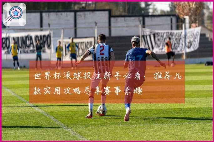 世界杯滚球投注新手必看，推荐几款实用攻略尽享赛事乐趣