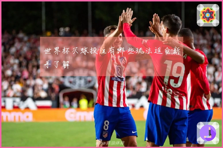 世界杯买球投注有哪些玩法适合新手了解