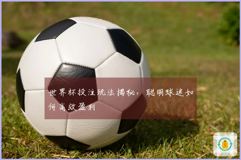 世界杯投注玩法揭秘，聪明球迷如何高效盈利