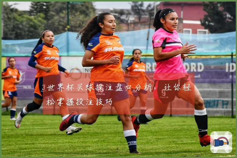 世界杯买球投注盘口分析，让你轻松掌握投注技巧