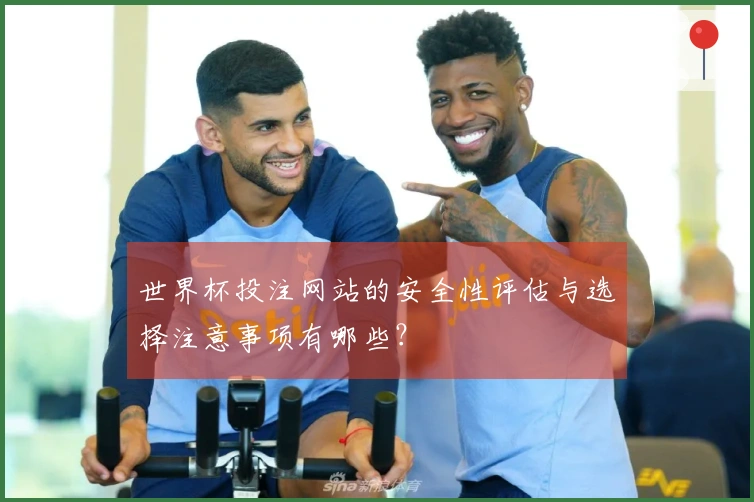 世界杯投注网站的安全性评估与选择注意事项有哪些？