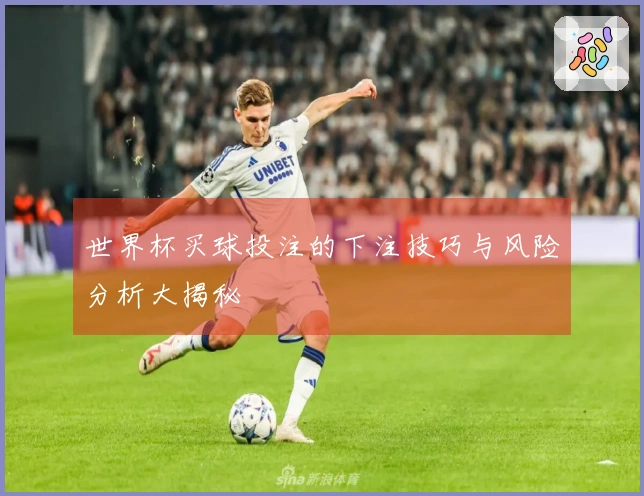 世界杯买球投注的下注技巧与风险分析大揭秘