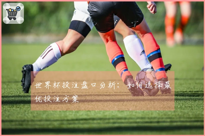 世界杯投注盘口分析：如何选择最优投注方案