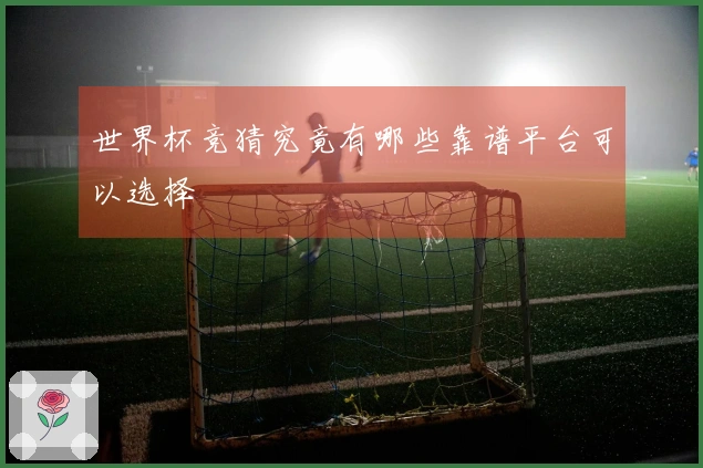 世界杯竞猜究竟有哪些靠谱平台可以选择
