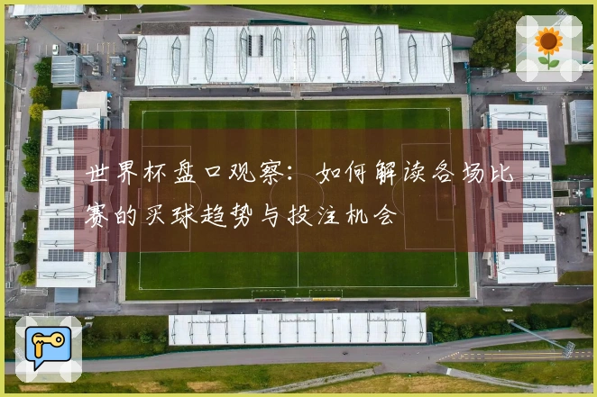 世界杯盘口观察：如何解读各场比赛的买球趋势与投注机会